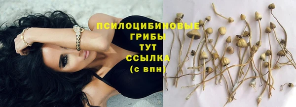 COCAINE Верея