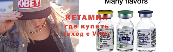 трава Сясьстрой