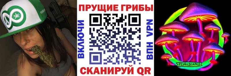 Псилоцибиновые грибы ЛСД  цены наркотик  Ставрополь 